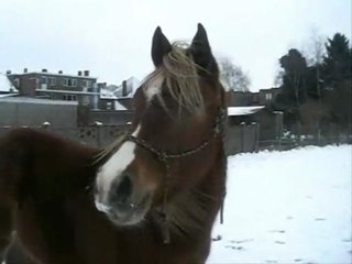 Maybe together we can get somewhere ...