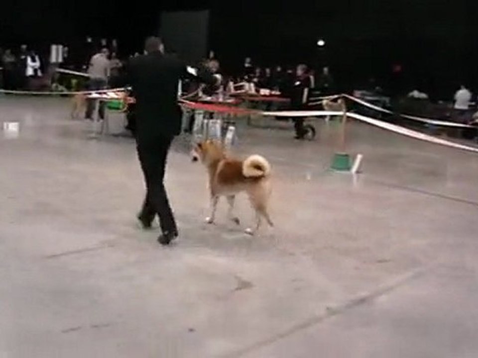 MOV012