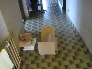 Marie se cache février 2010