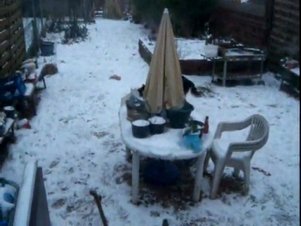 jeu dans la neige