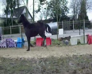 ulrika 060210 2