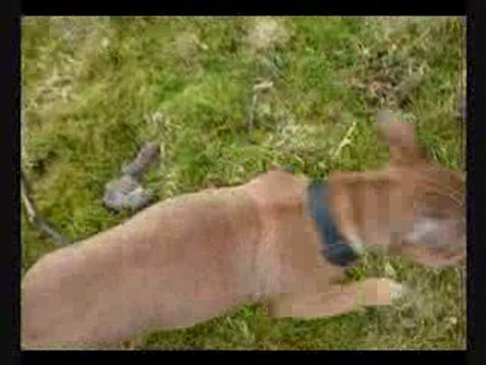 Tia Up Balmashanner Feb 2010