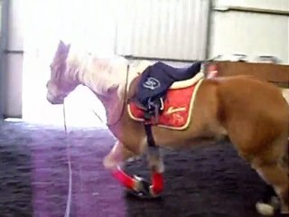 Nimerode - 11-120210