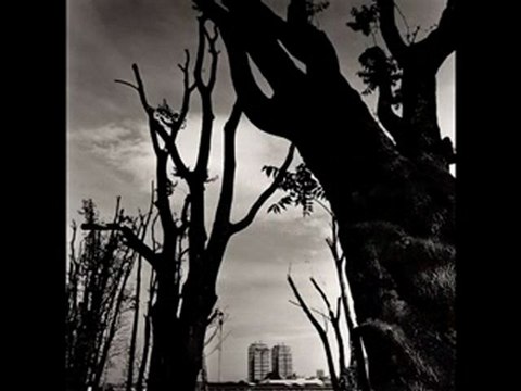 FOTOGRAFIA ITALIANA,ITALIA Augusto de luca