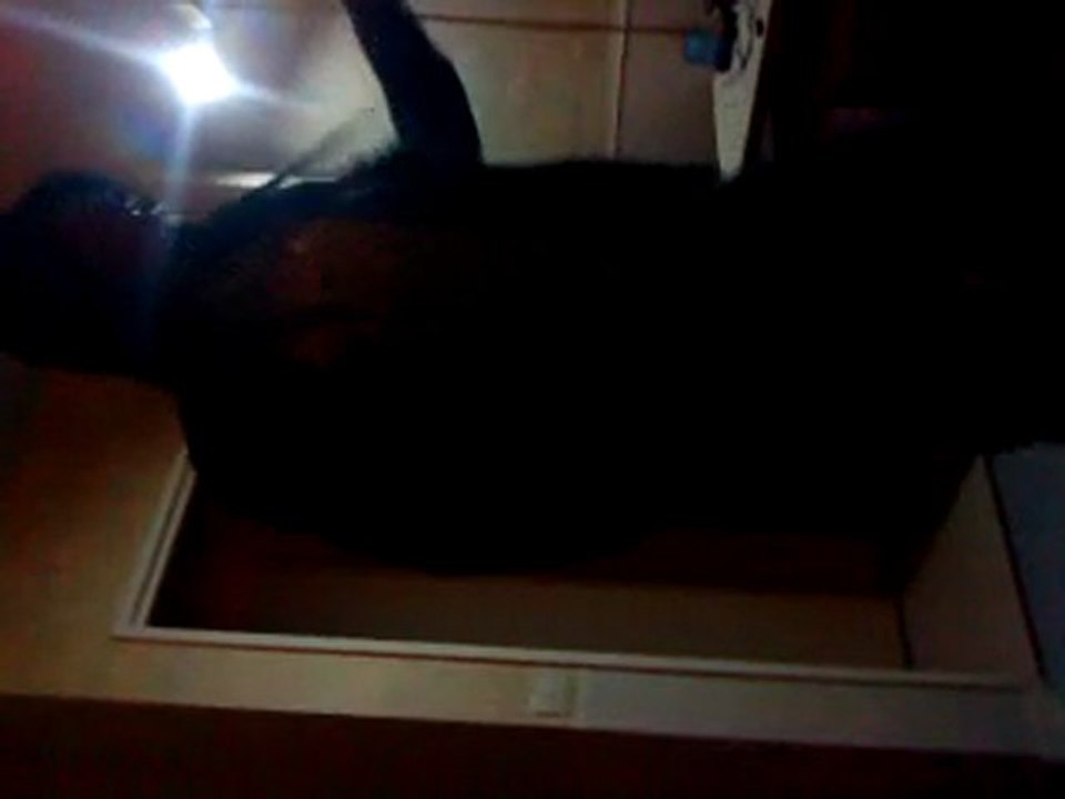 freeze
