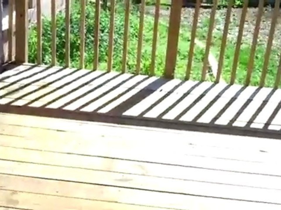 Austin Round Rock Available Owner Financed Home