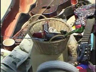 Sunny Zorro at Hen House Studios - Size 26