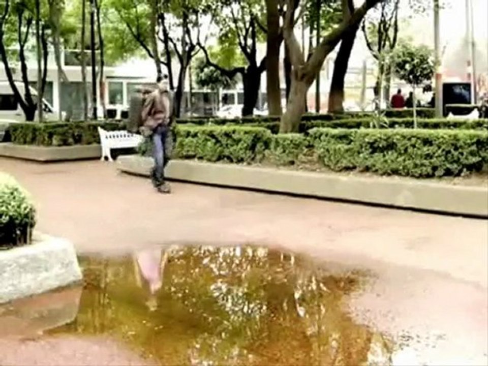 novela 1