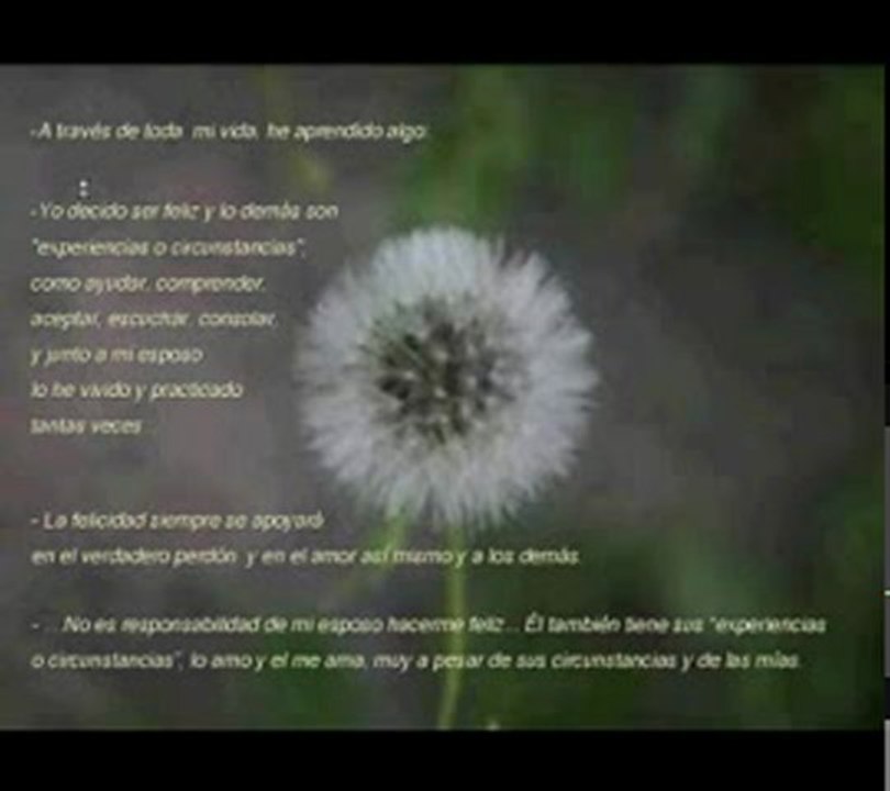 Video 115 EL SECRETO en youtube, pelicula, video, dvd, tv