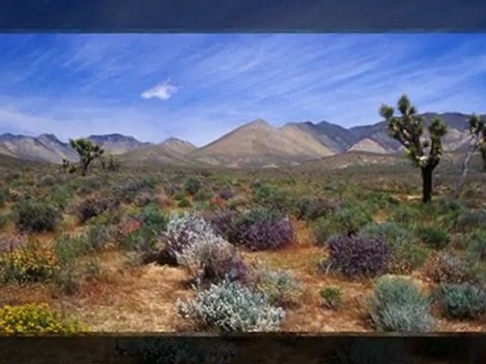 ORIENT EXPRESS -DESERT FANTASY