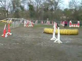 Caleb 1: Key Insights and Highlights