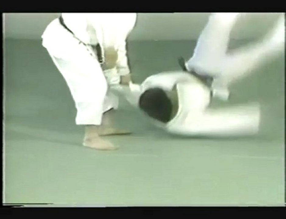 Osawa Sensei- Tsubame Gaeshi