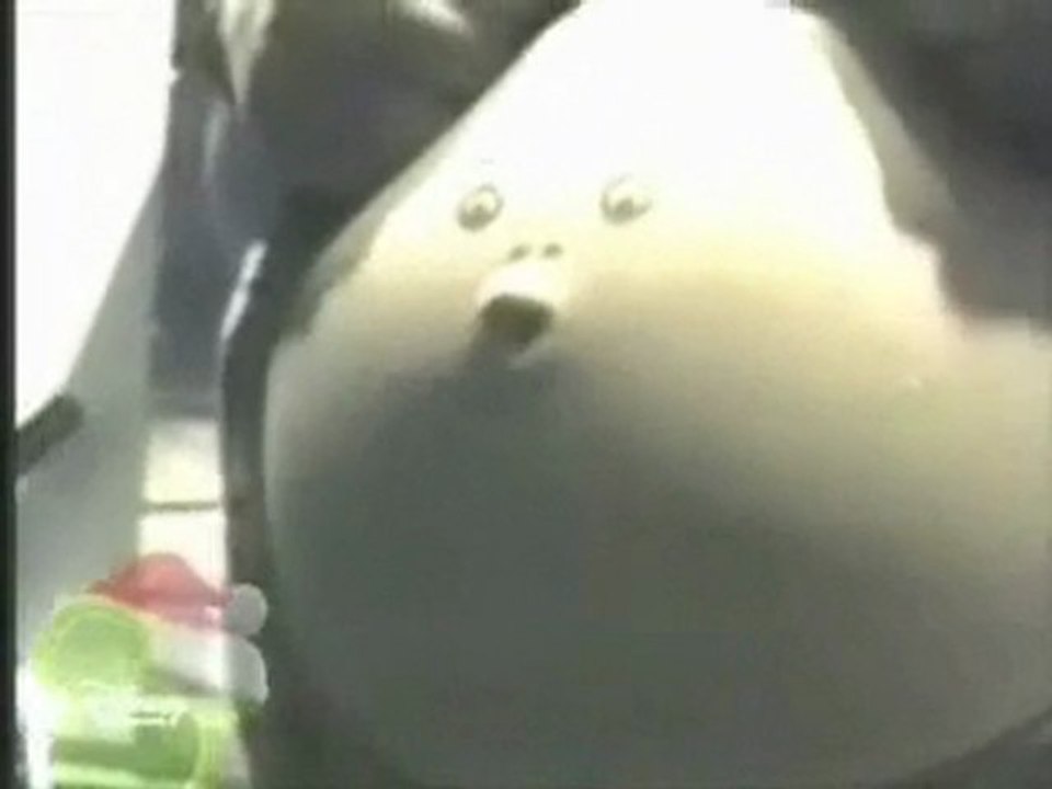 guzelinde-guzeli-var-eglendir.com