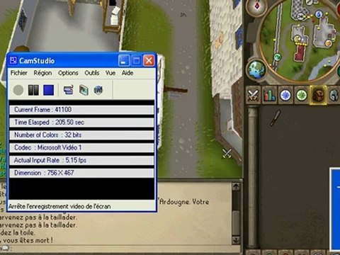 runescape delire : foufou se suicide au wild