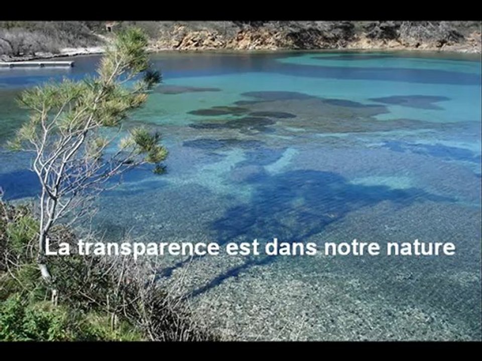 Parc national de Port-Cros > tansparence
