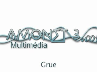 Location de Grue avec opérateur