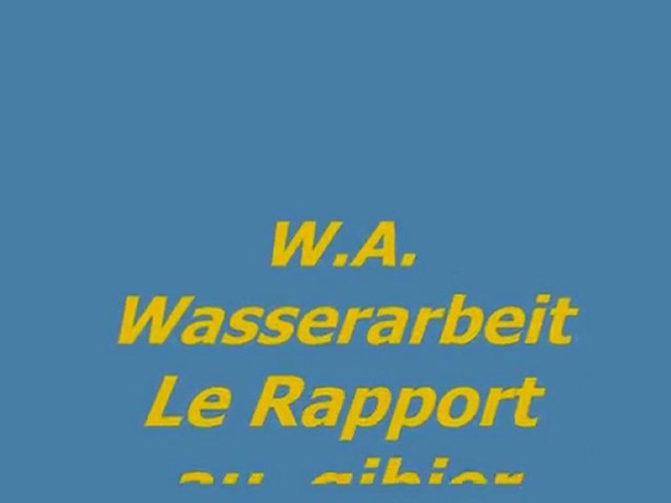 teckel chasse les canards