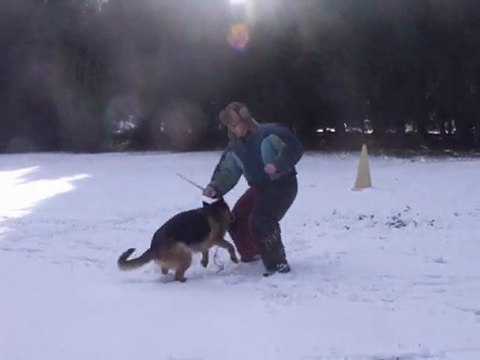 janvier 2010 sous la neige 1