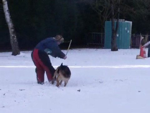 sous la neige janvier 2010/ 3