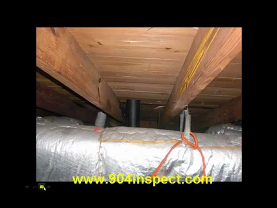 Jacksonville Property Inspector Shows One Way To Prevent Roo