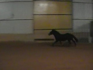 Mon loulou d'amour !!!