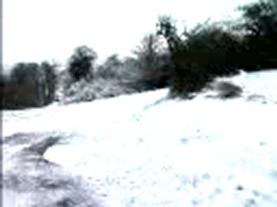 Marche dans la neige au vernet .
