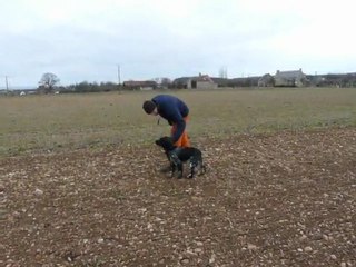 Djinn des chefs de rang