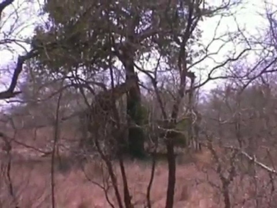 Afrique du Sud 10/10