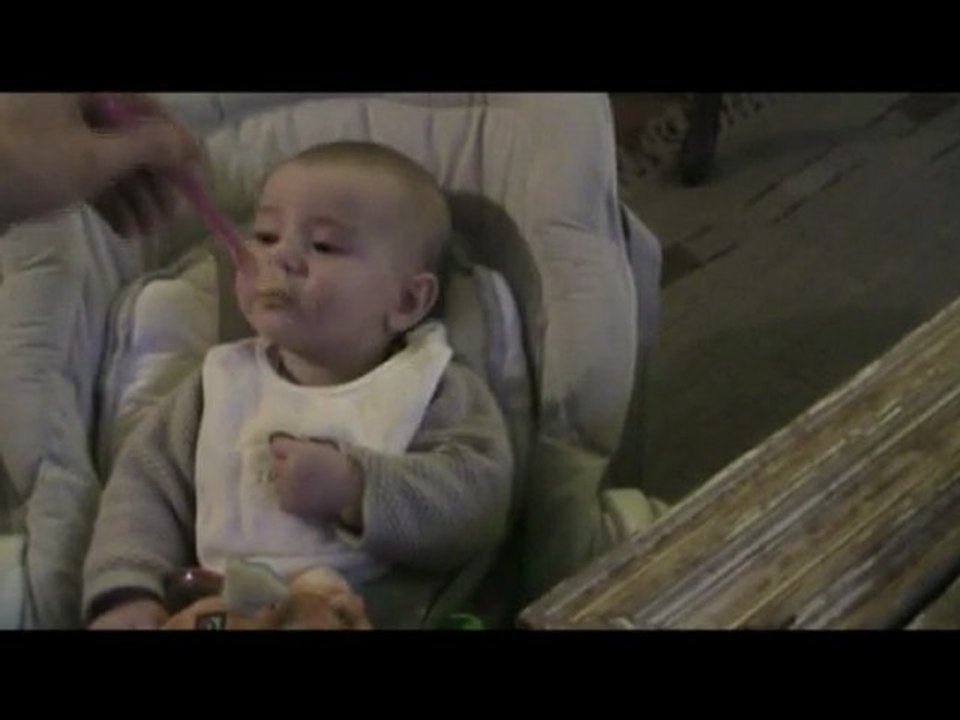 Premiere compote de pomme sixtine