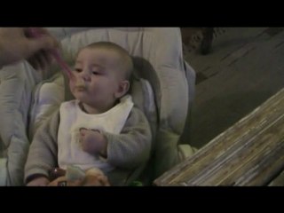 Premiere compote de pomme sixtine