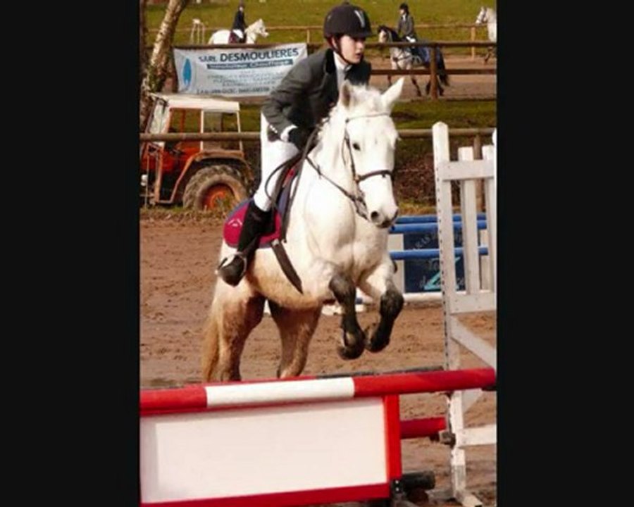 Origan, ce poney formidable <3