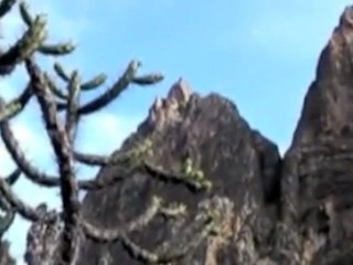 Spirit of the Incas