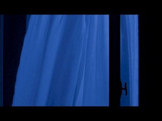 AMER (2010) - CLIP 03