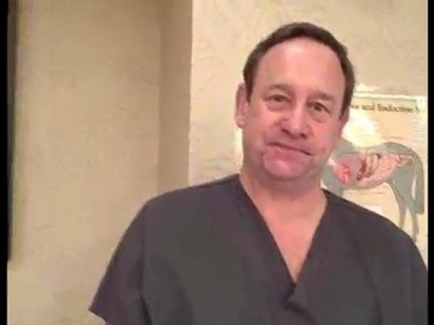 Horse Anatomy Lab - see horse body parts