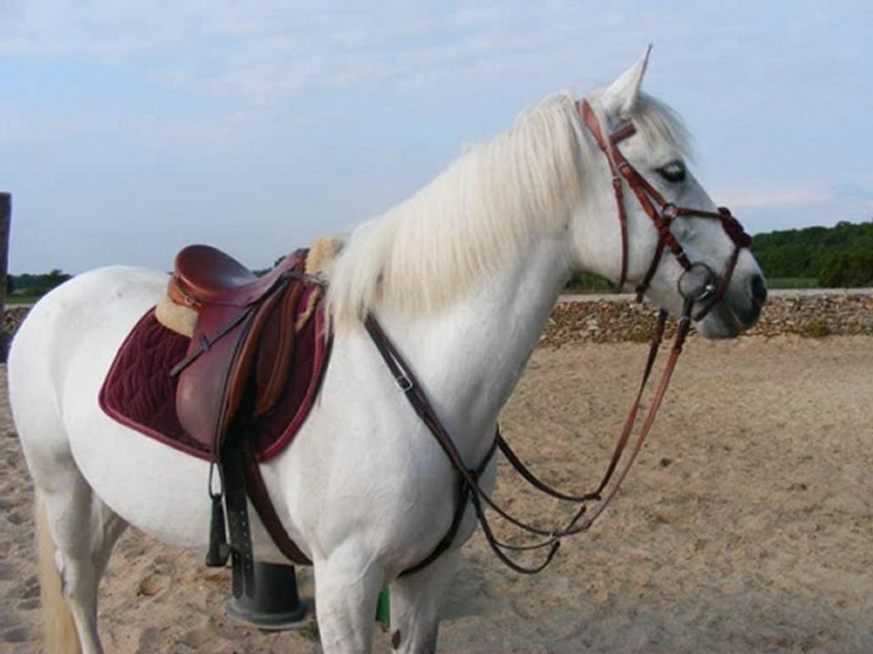 Il est temps de se dire au revoir ...