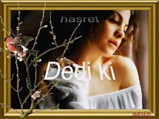 DENİZ KENARINDA--AYTEN ÇIKRIKCI ŞİİRİ