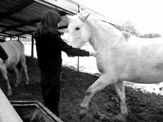 On avance Pas à Pas .. ♥