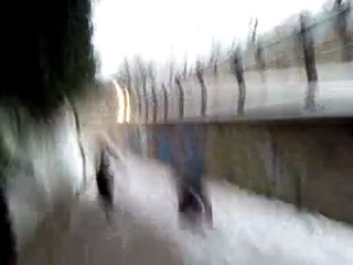 Mehdi Qui se gaméle