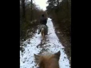 Balade a poney