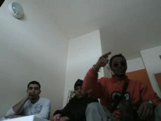 REPTIL IN MOMO HOUS 1