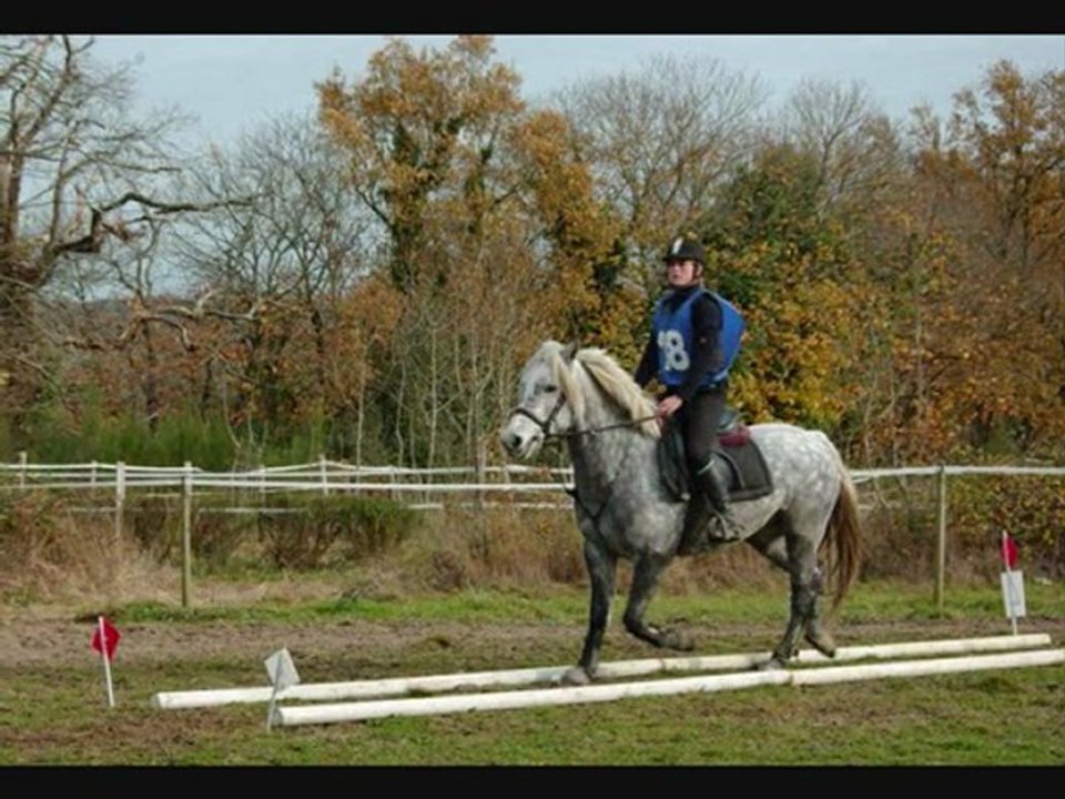 Pin's cherche un cavalier