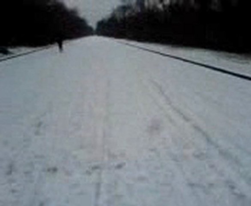 ballade en sous-bois