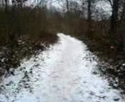 Ballade en sous bois