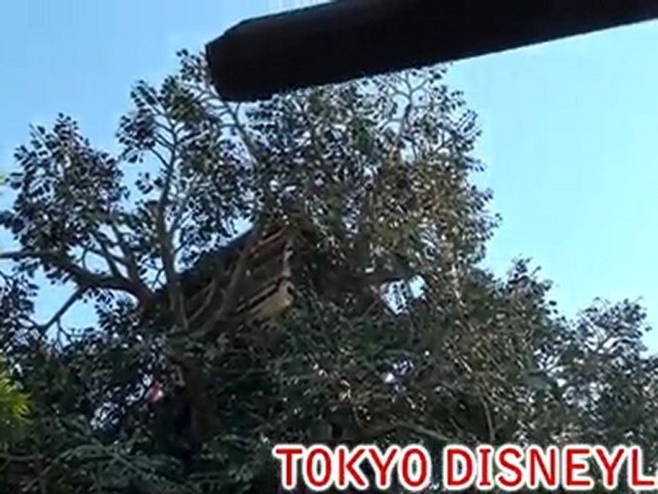 tokyo disneyland