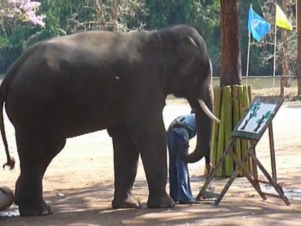 Thailande Un elephant peint 2
