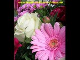 buy valentines day flowers delivery