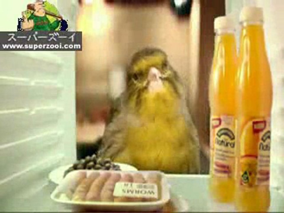 Comercial
