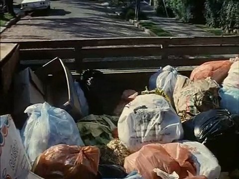 L'ile aux fleurs (Ilha das flores)