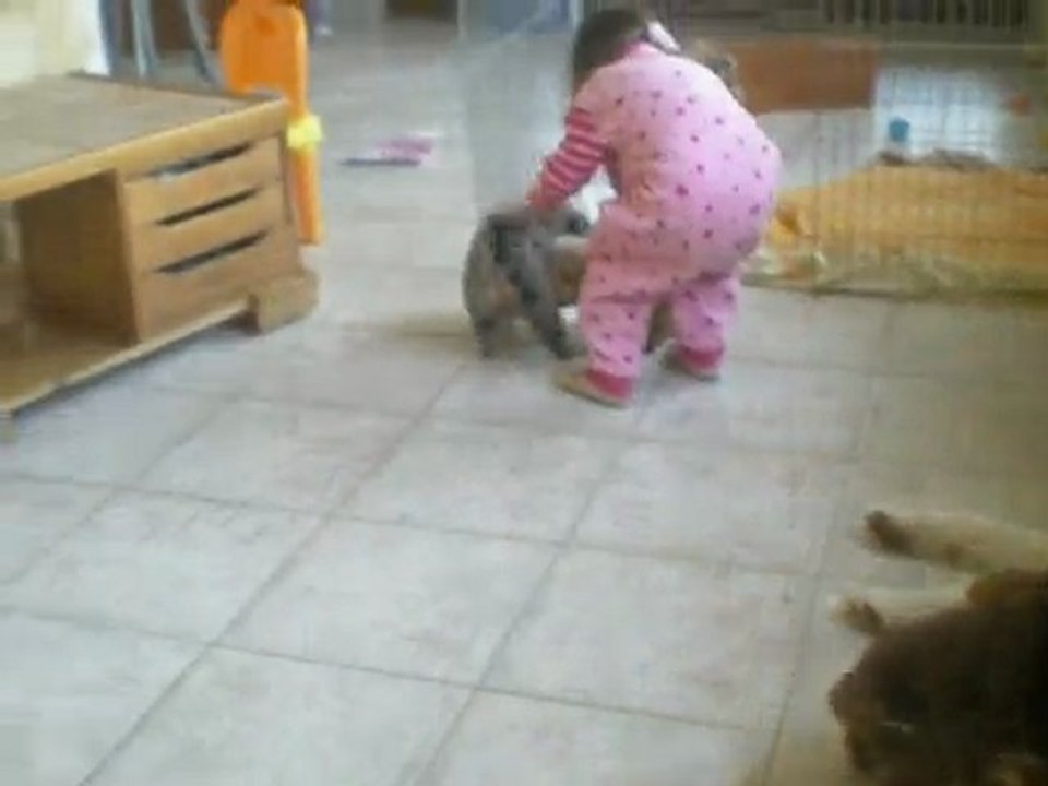 vidéo chiots 14/02/10