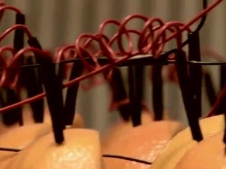 Il faut 2380 tranches d'Orange pour recharger un iPhone